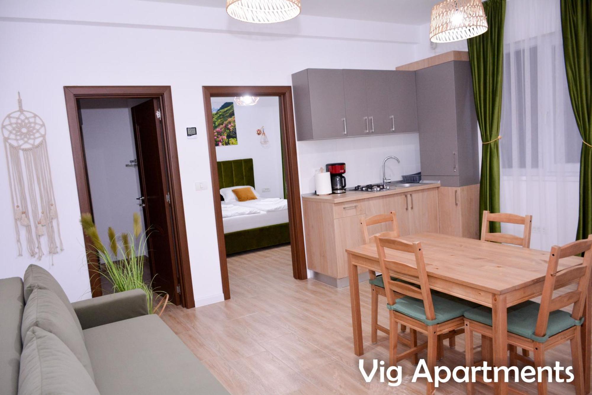 Vig Apartments Timişoara Exterior foto