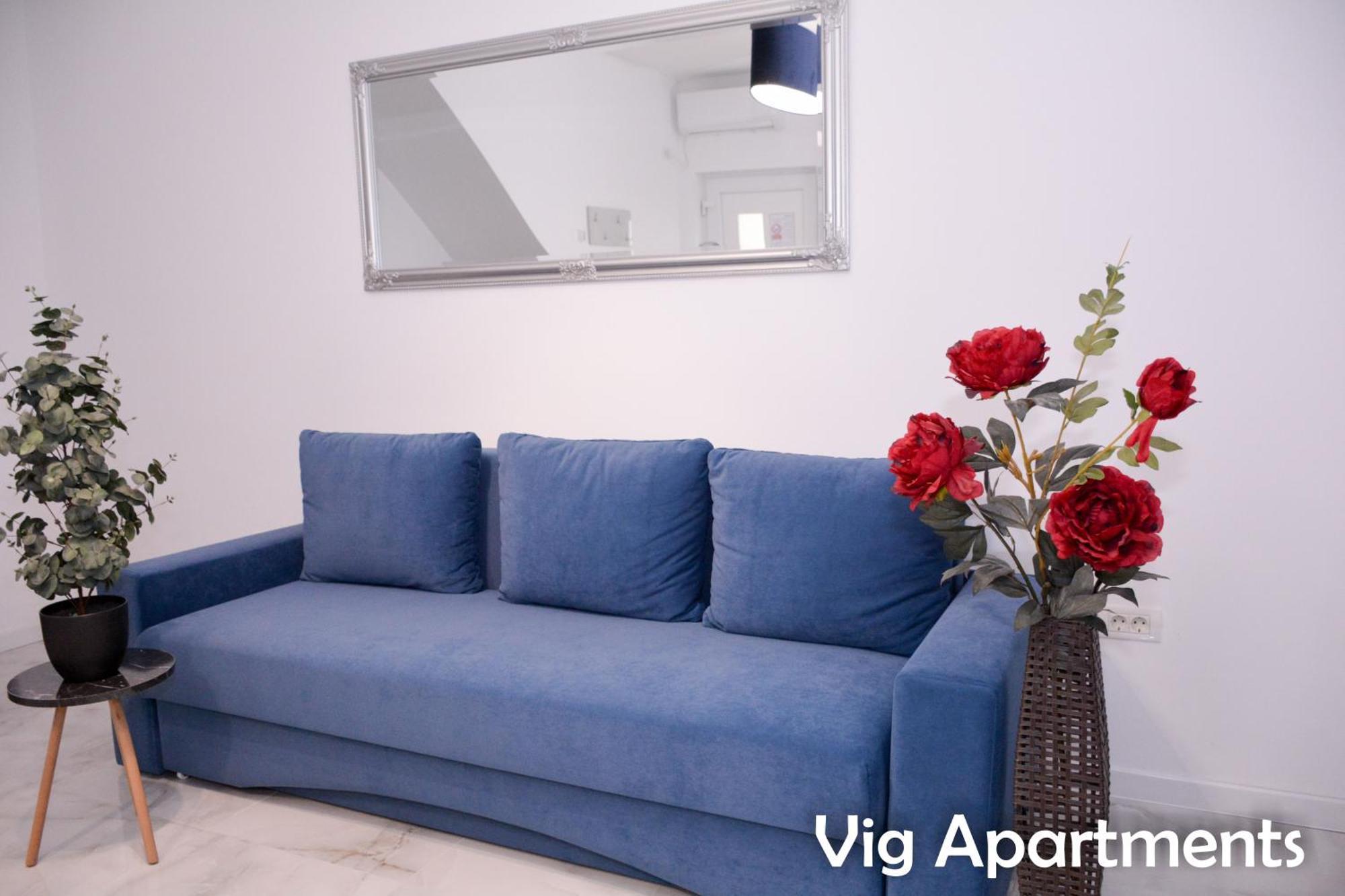 Vig Apartments Timişoara Exterior foto